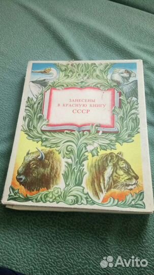 Спички коллекционные