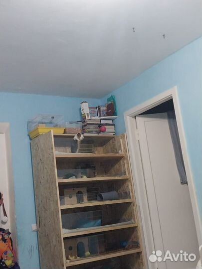 Стеллаж для морских свинок