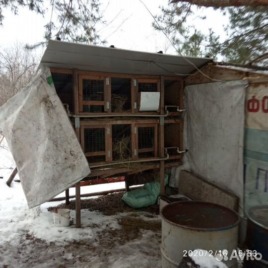 Мини ферма для разведения кроликов