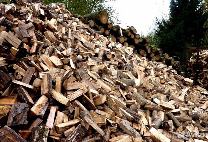 Дрова сухие