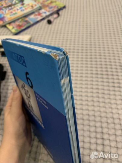 Информатика 6 класс босова