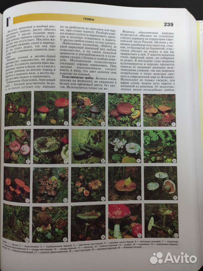 Книга Энциклопедия Дома и Семьи