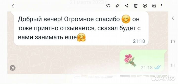 Репетитор по русскому языку
