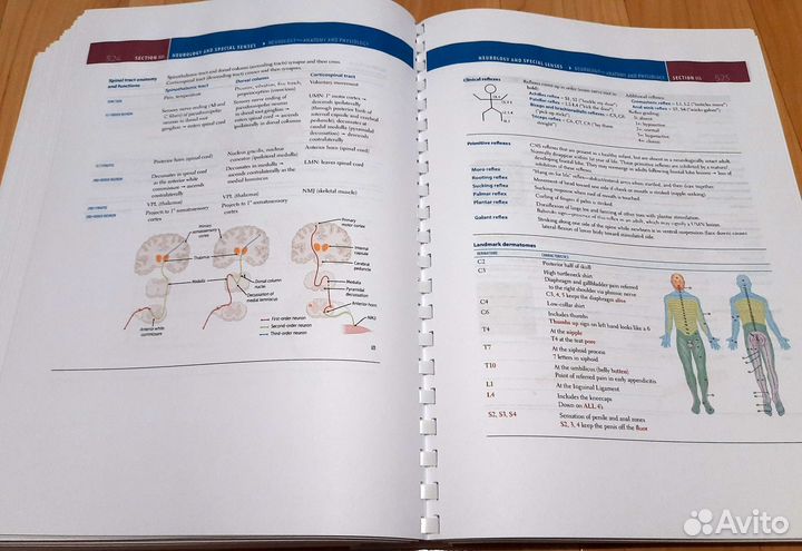 First Aid for the usmle Step1 2024 год