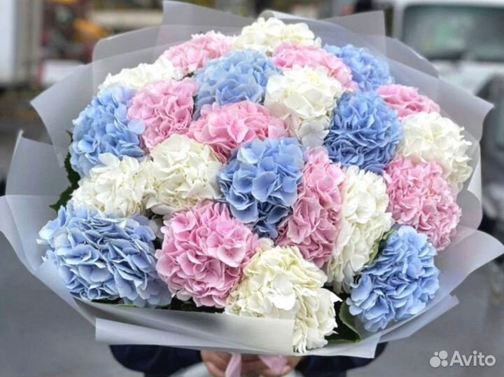 Гортензии с доставкой