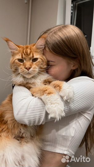 Зоопсихолог