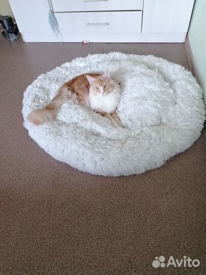 Лежанка для животных 100*100