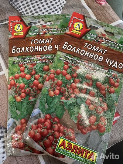 Помидоры семена для балкона