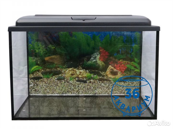 Аквариум