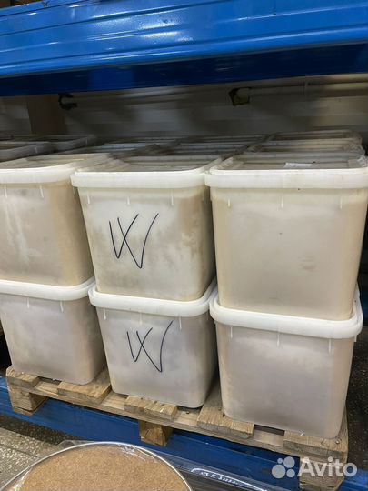 Липовый мед