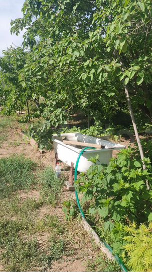 Дача 24 м² на участке 8 сот.