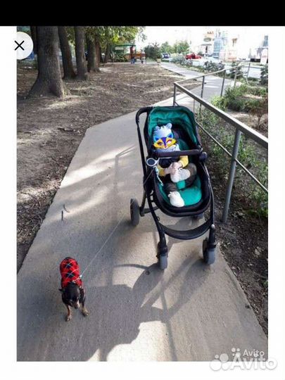 Коляска 2 в 1