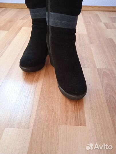 Сапоги женские evita