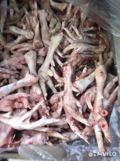 Корма для животных