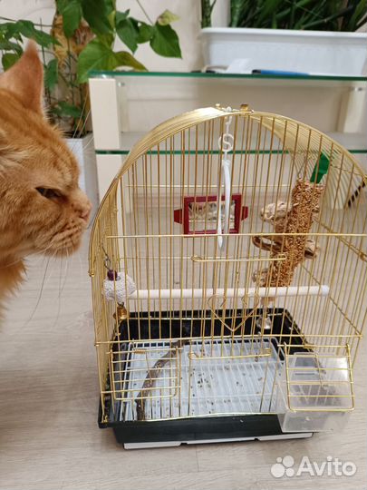 Клетка для попугая