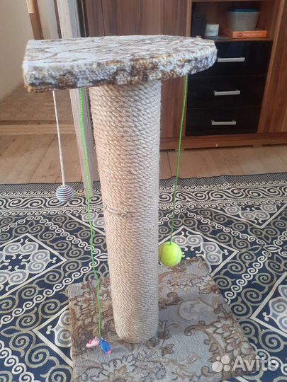 Когтеточка