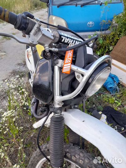 Suzuki djebel
