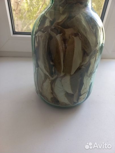 Белые грибы