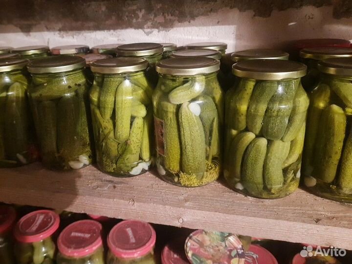 Огурцы маринованные домашние