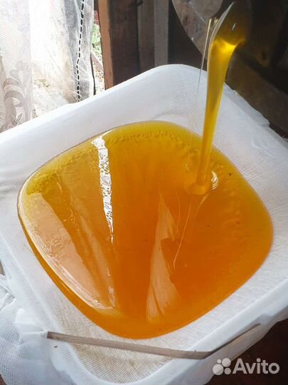 Мёд разнотравье, липа, подсолнечник 2023