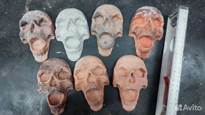 Череп из гипса
