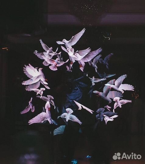 Световое шоу