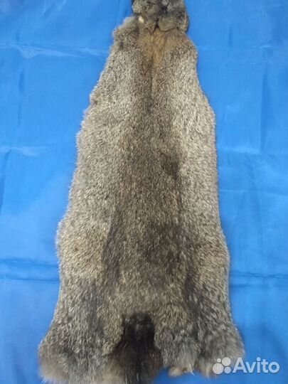 Продам мех кролика