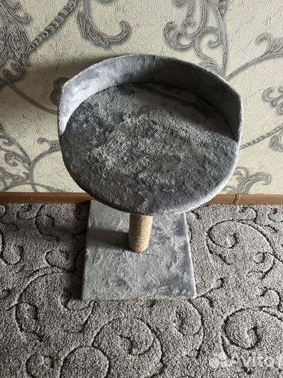 Когтеточка