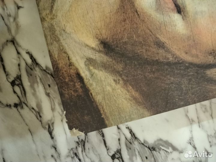 Книга Мир Рубенса