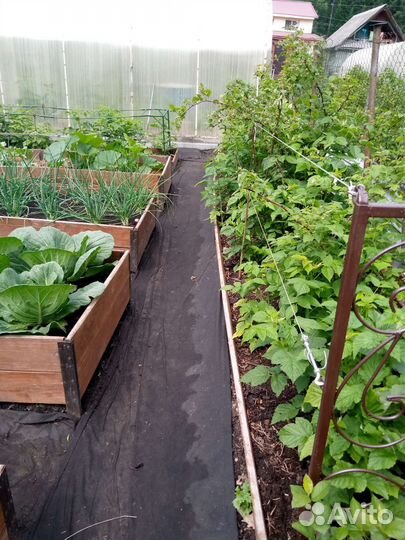 Опора для малины