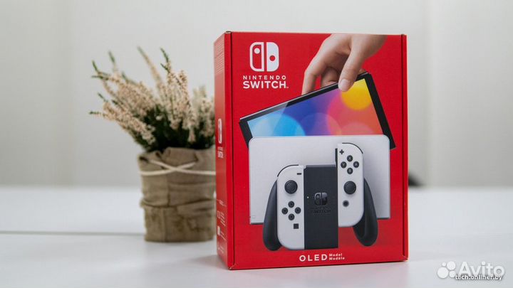 Nintendo switch oled
