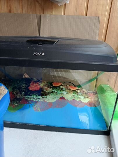 Аквариум