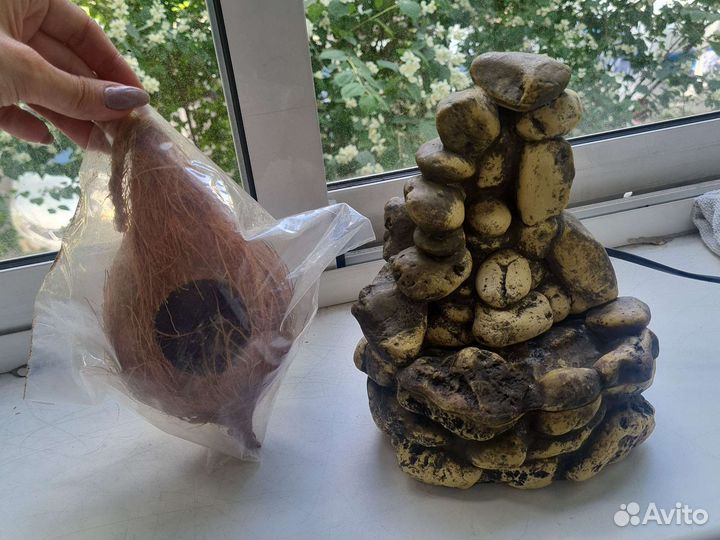 Миски,укрытия,купалки,лианы,кора