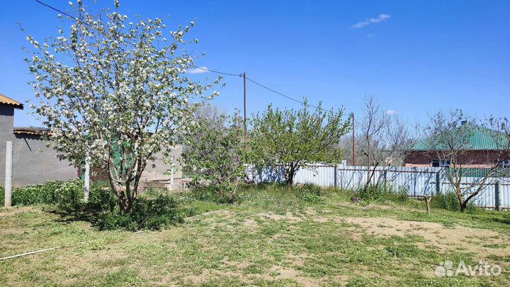 Рыбалка охота отдых в Астрахани на раскатах