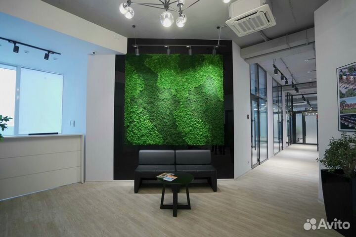 Вертикальное озеленение мхом