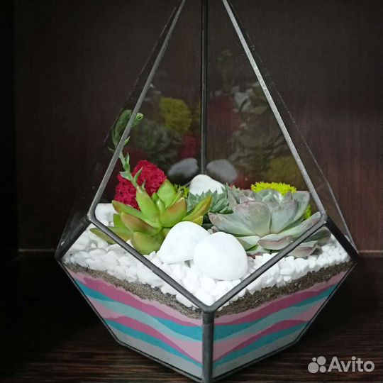 Флорариум из суккулентов