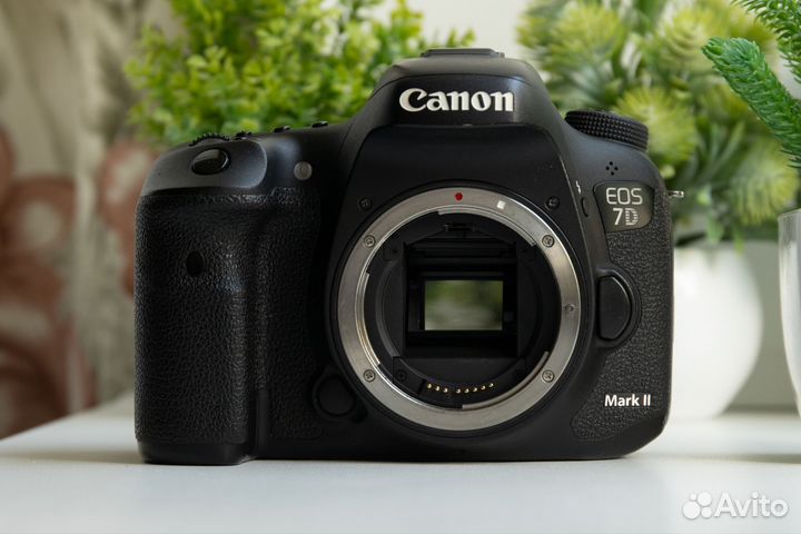 Canon 7D Mark II