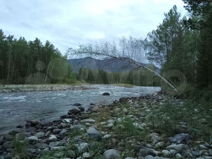 Участок 11 сот. (СНТ, ДНП)