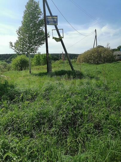 Участок 10 сот. (ИЖС)