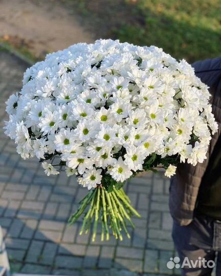 Букет ромашек