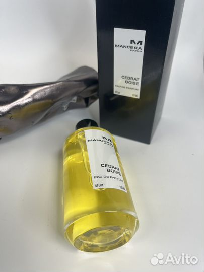 Mancera cedrat boise