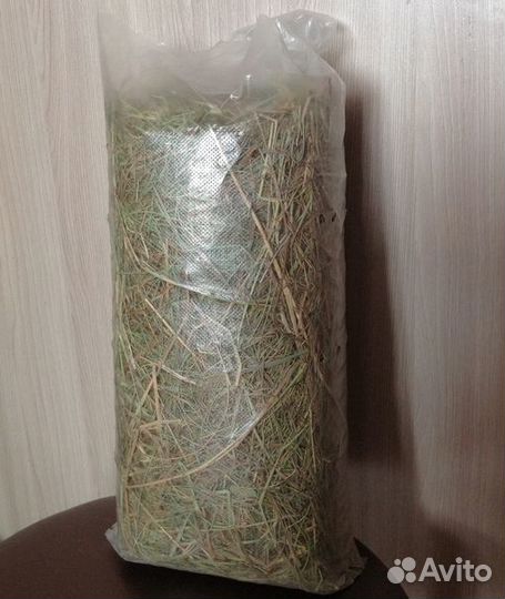 Сено для грызунов, луговые травы