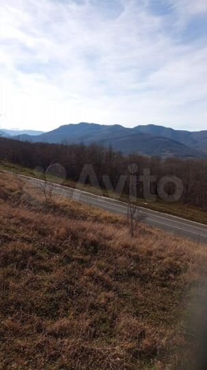 Участок 100 сот. (СНТ, ДНП)