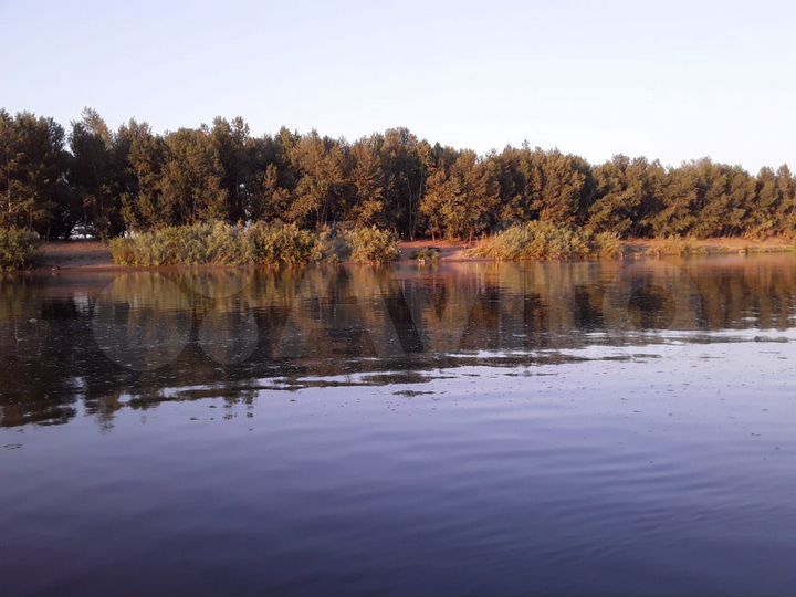 Участок 15 сот. (СНТ, ДНП)