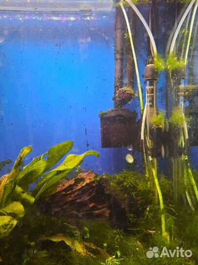 Аквариум с тумбой 450л