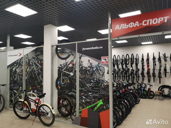 Подростковый Forward Bizon mini 24 синий 2021