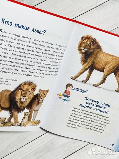 Энциклопедии в картинках для малышей