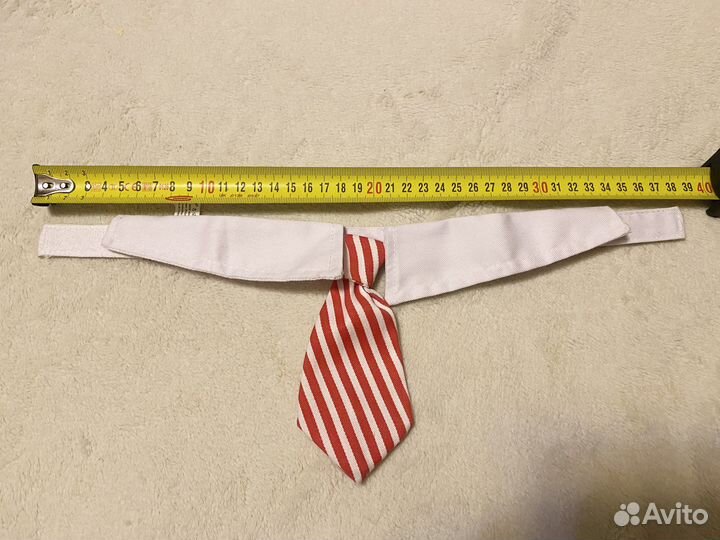 Галстук для собак