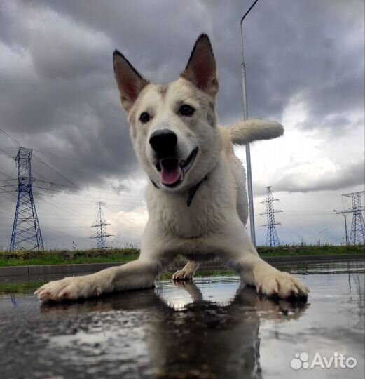 Кабель для вязки