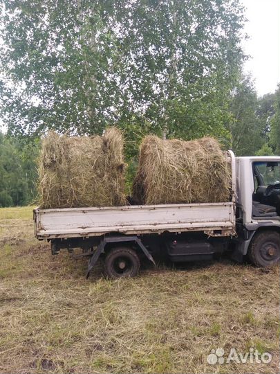 Продам сено в рулонах